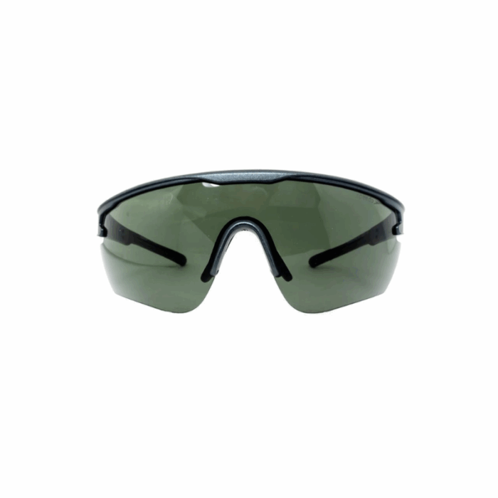 Óculos Speedo Inter Action Verde
